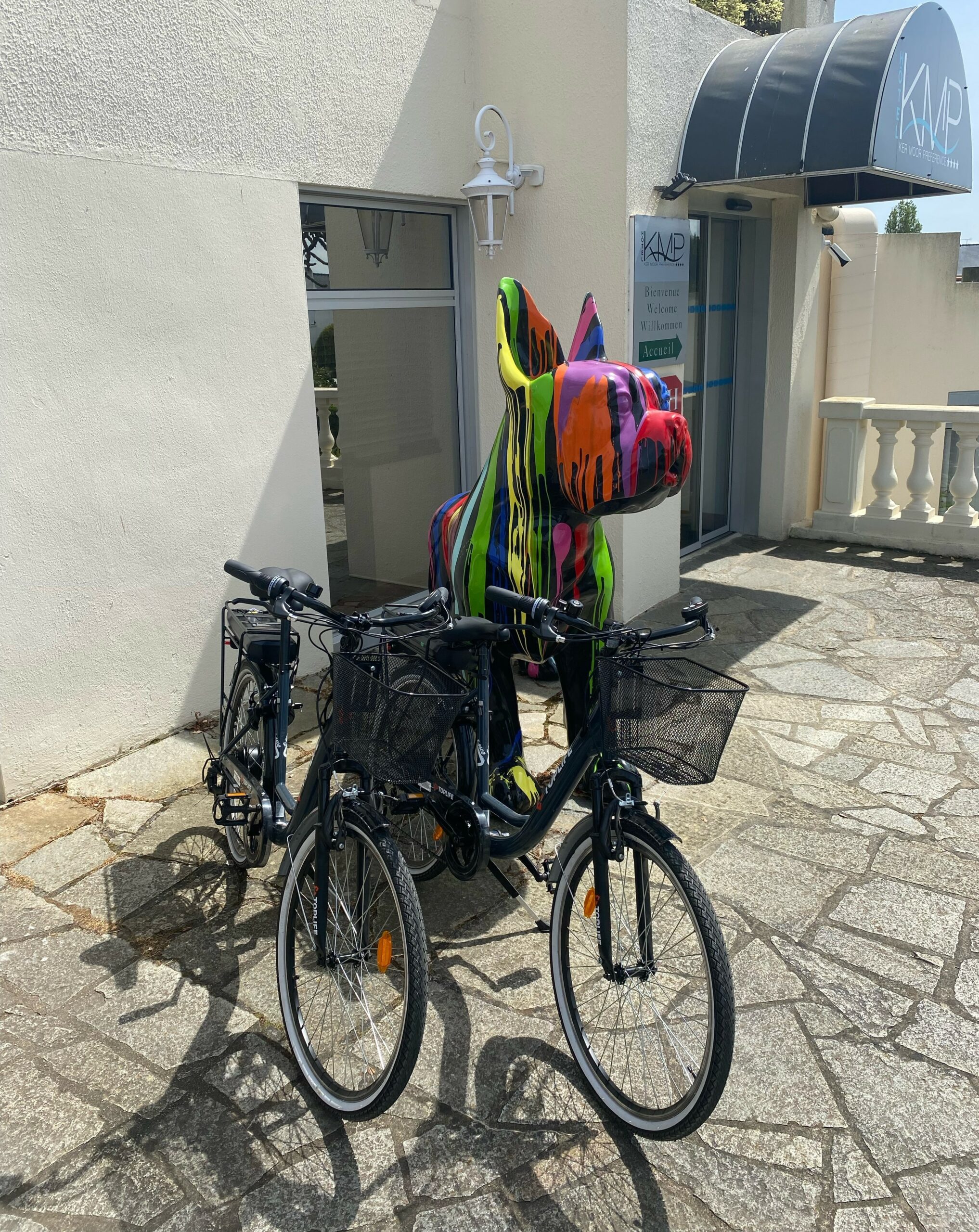 Location de vélo électrique Saint Quay Portrieux