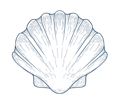 Coquille detouree