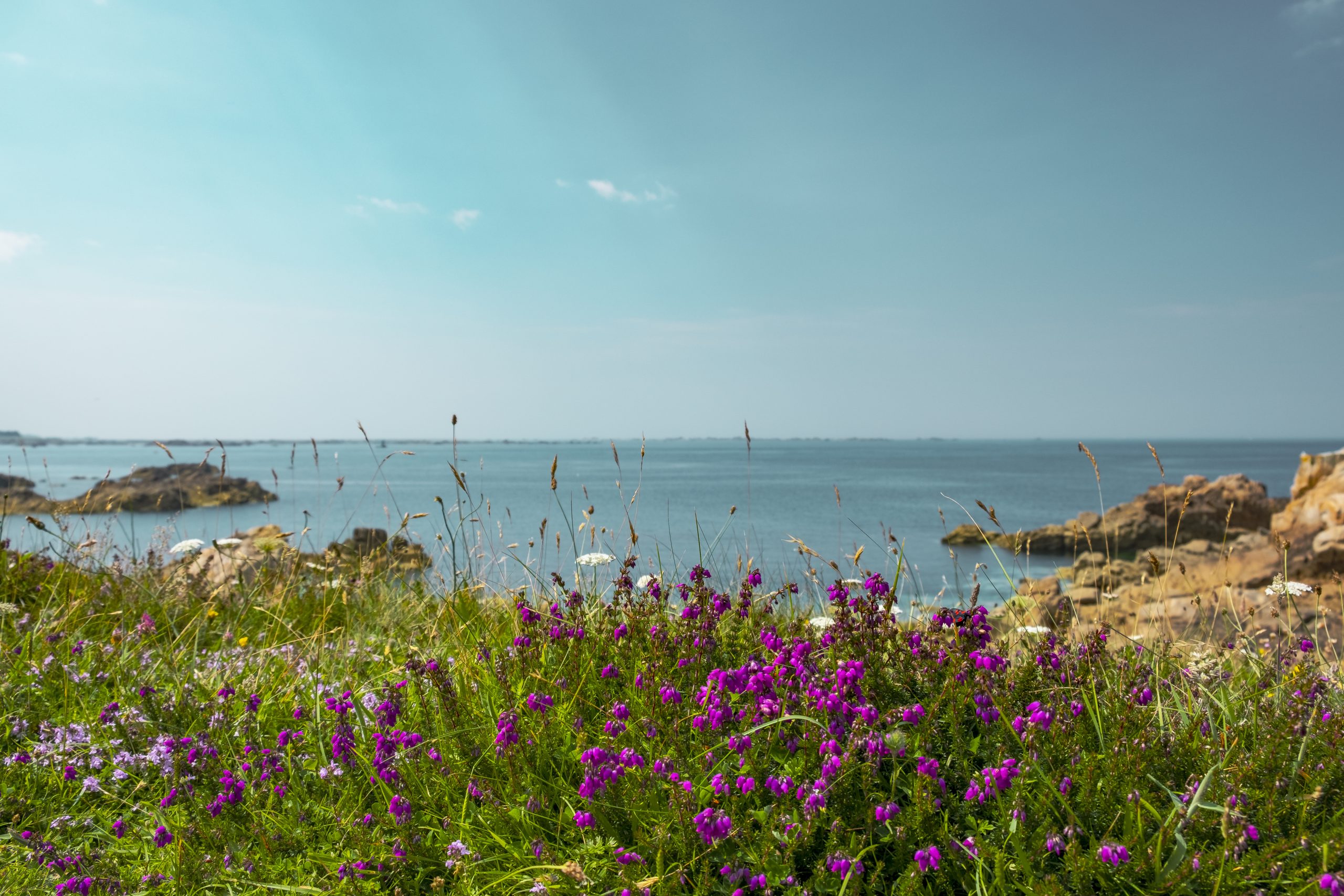 Ile de Bréhat on the Côtes d'Armor - saint quay portrieux hotel